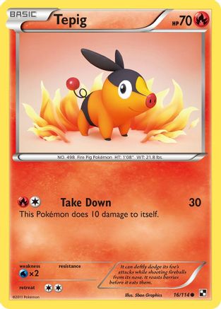 Tepig (16) (16) [Black and White] Reverse Holofoil