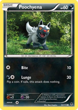 Poochyena (53) [XY - Phantom Forces] Reverse Holofoil