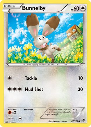 Bunnelby (87) [XY - Phantom Forces]