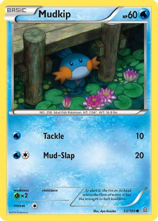 Mudkip (33) [XY - Primal Clash] Reverse Holofoil