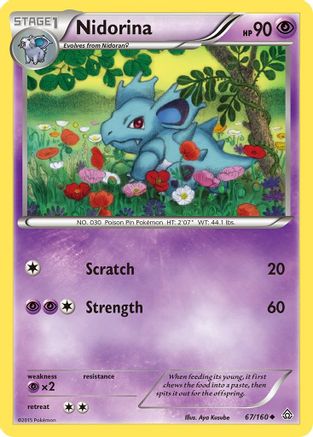 Nidorina (67) [XY - Primal Clash] Reverse Holofoil