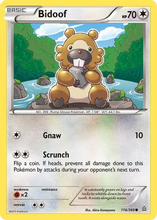 Bidoof (116) [XY - Primal Clash] Reverse Holofoil