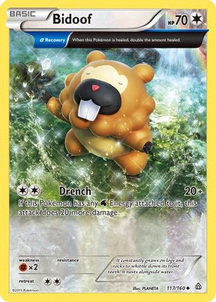 Bidoof (Alpha) (117) [XY - Primal Clash] Reverse Holofoil