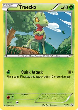 Treecko - XY36 (XY36) [XY Promos] Holofoil