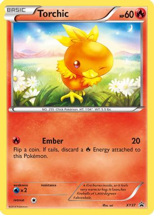 Torchic - XY37 (XY37) [XY Promos] Holofoil